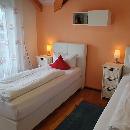 Armonia Altach, 2-6 P, 2 Schlafzimmer, Kueche, Parkplatz, Balkon, Wifi, Garten, Stellplatz Fuer Ski מראה חיצוני תמונה