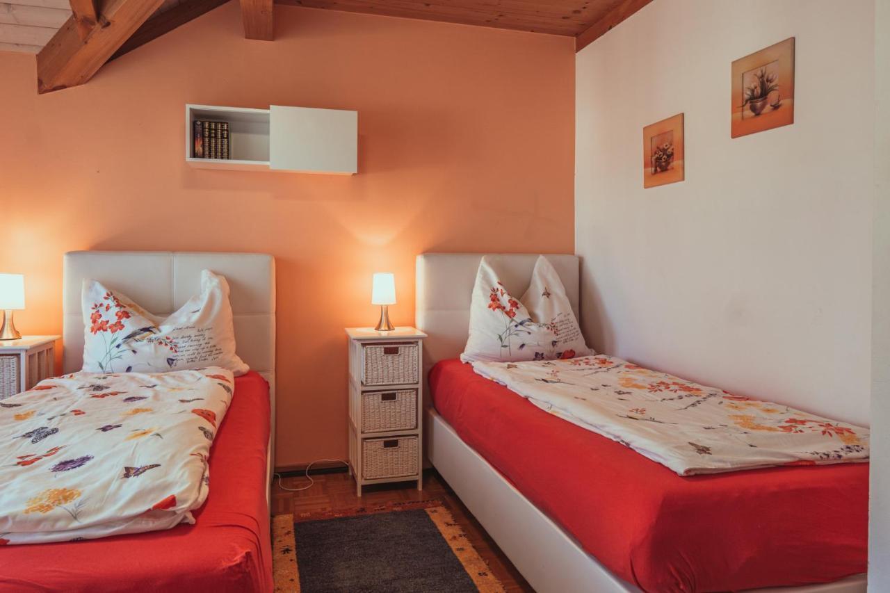 Armonia Altach, 2-6 P, 2 Schlafzimmer, Kueche, Parkplatz, Balkon, Wifi, Garten, Stellplatz Fuer Ski מראה חיצוני תמונה